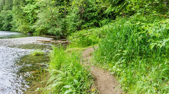 Wanderweg im Grünen neben einem Fluss