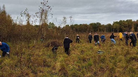 Schülerinnen und Schüler bei einer Expedition im Dosenmoor