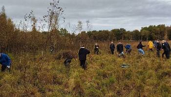 Schülerinnen und Schüler bei einer Expedition im Dosenmoor