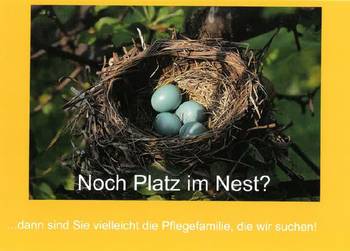 Pflegekinderhilfe-Postkarte "Noch Platz im Nest?"