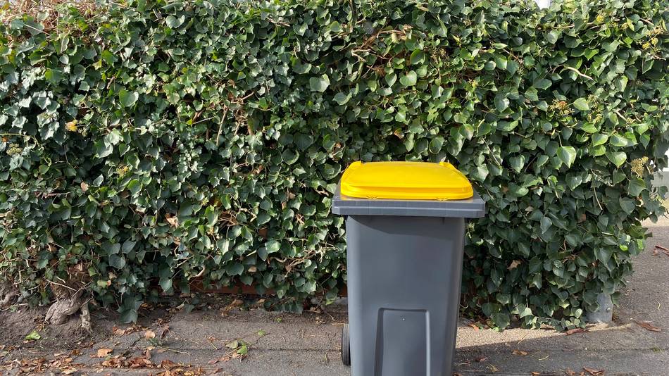 Gelbe Tonne Eine gelbe Tonne