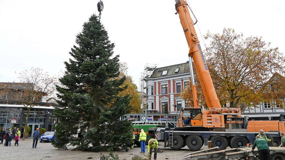 Tannenbaum auf dem Großflecken Der große Tannenbaum wird mit einem Kran auf dem Großflecken aufgestellt.