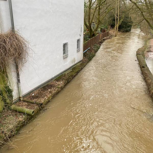 Fluss mit viel Wasser neben einem Haus
