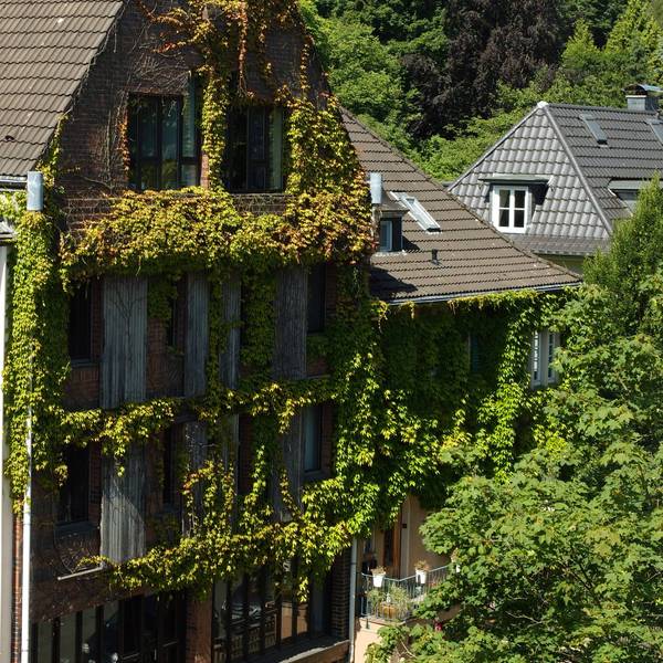 Haus mit Fassadenbegrünung und Bäumen