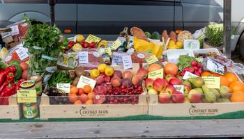 Wochenmarkt auf dem Großflecken Obst und Gemüse in der Auslage eines Standes auf dem Wochenmarkt.