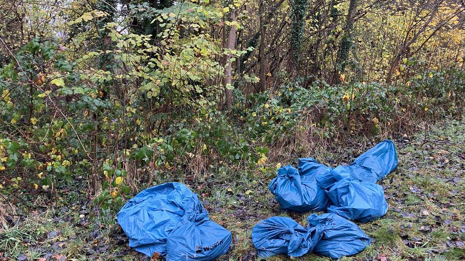 Sieben Säcke mit illegal entsorgten Schlachtabfällen.