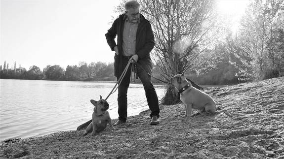 Wer einen oder mehrere Hunde besitzt, muss ihn bzw. sie anmelden.